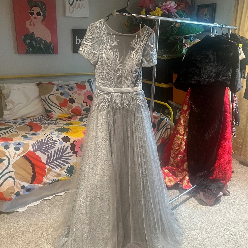 Elegant silver gown